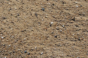 Beach_Texture_0007