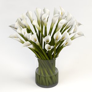 3d realistic calla lilies