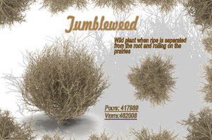 tumbleweed max