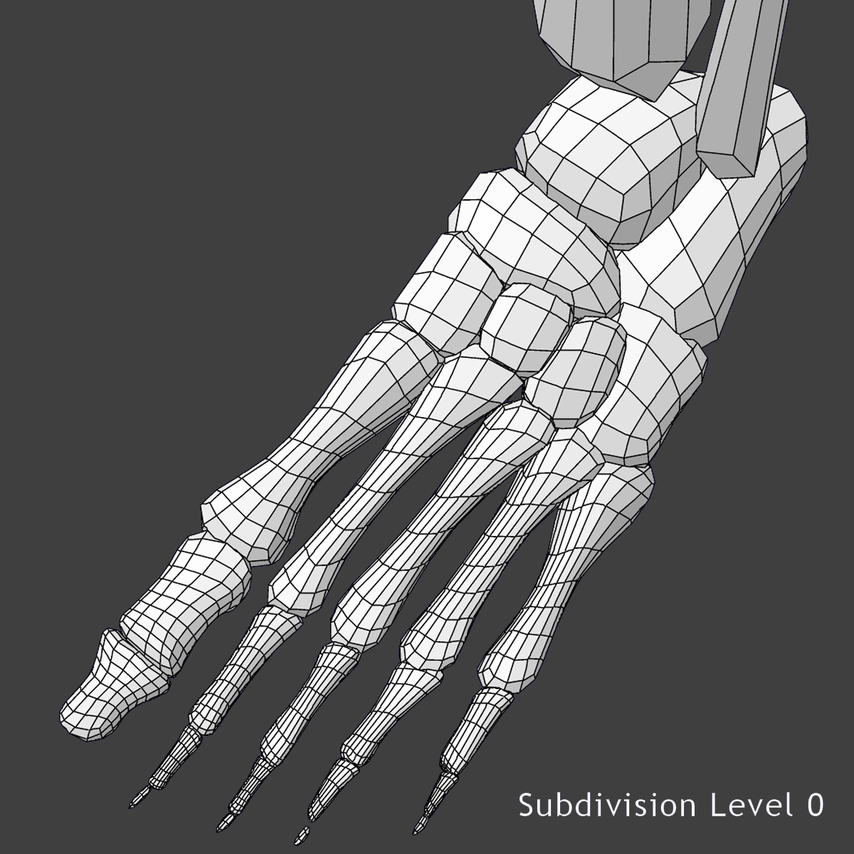 3D модель Мужской Скелет Человека - TurboSquid 957740