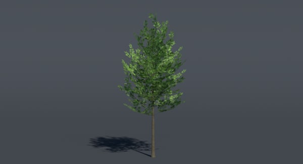 small tree 3d model