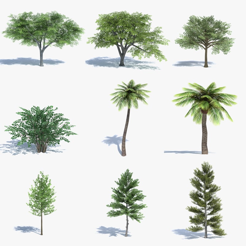 3ds max tree set polys
