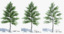3ds max tree set polys
