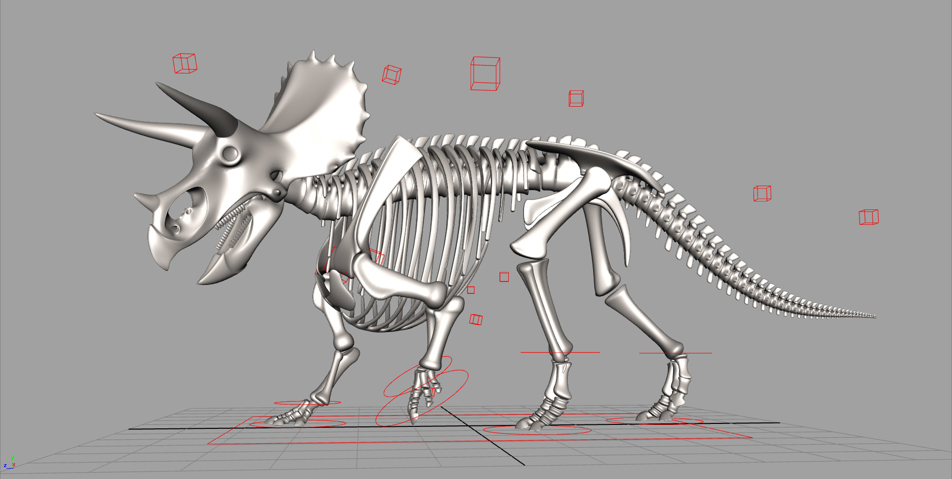 big john triceratops skeleton