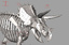 ma triceratops skeleton rigged