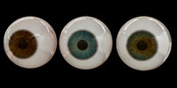 Eyes 3d Models For Download 