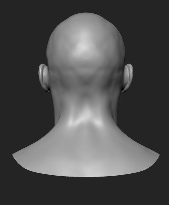 3d model male base head
