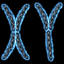 3d model of chromosome lightwave