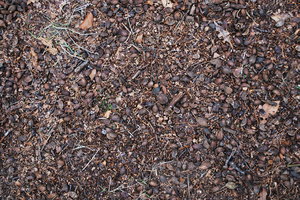 Ground_Texture_0014