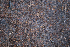 Ground_Texture_0024