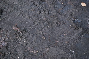 Ground_Texture_0021
