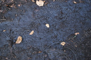 Ground_Texture_0020