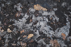 Ground_Texture_0022