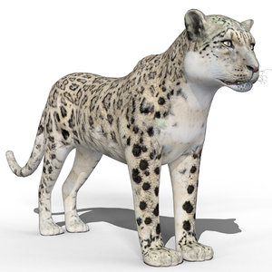 3d model snow leopard bars