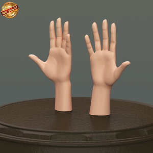 3d model modeled body female hand anatomy