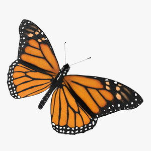 3d model monarch butterfly 03