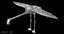 phoenicopterus ruber american flamingo 3d model
