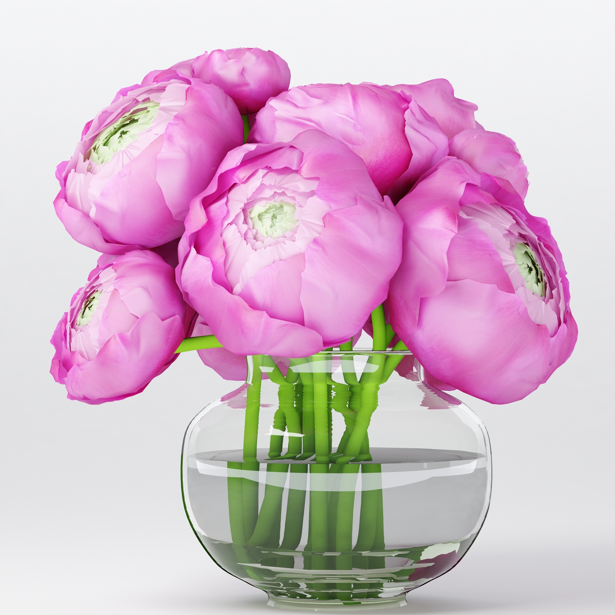 粉红色毛茛花束3d模型