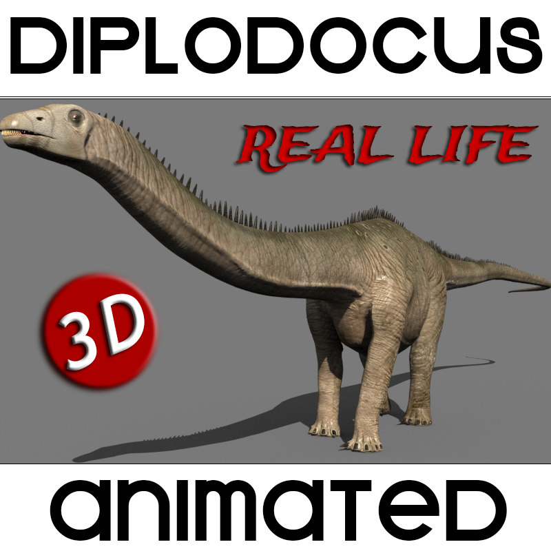 diplodocus real