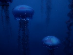 3d jellyfish fish model