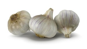 garlic bulb 3d model