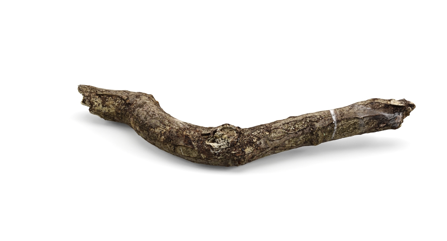 3d model of realistic stick