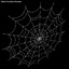 3d spiderweb 02