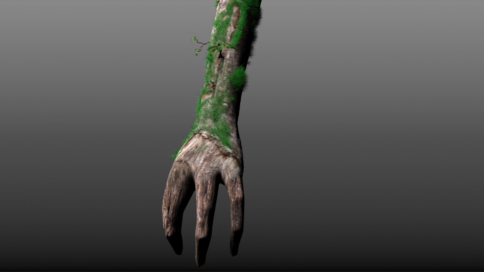 3d modeled tree hand nature model