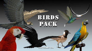 birds pack 3d max