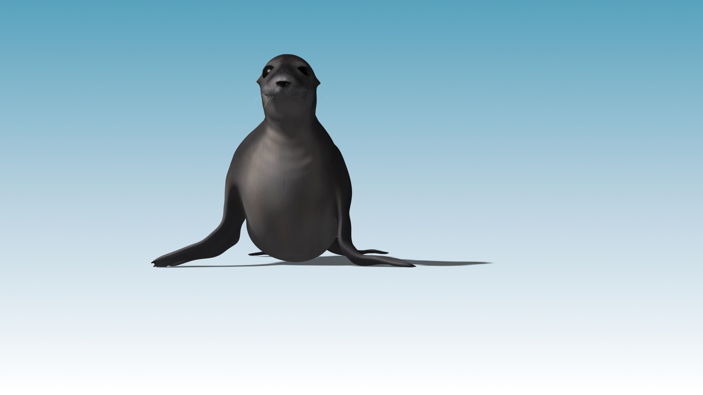 seal animation rigging max