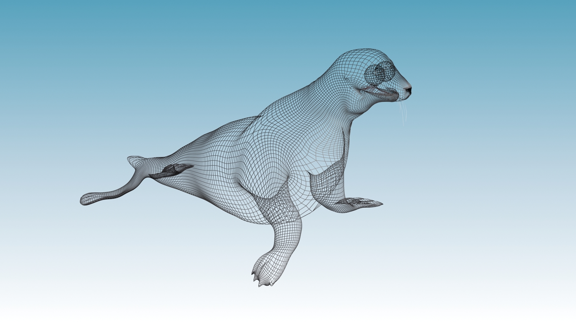 seal animation rigging max