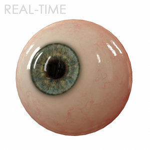 eye eyeball 3d model