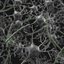 neuron network 3d model