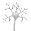 neuron network 3d model