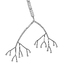 3d neuron