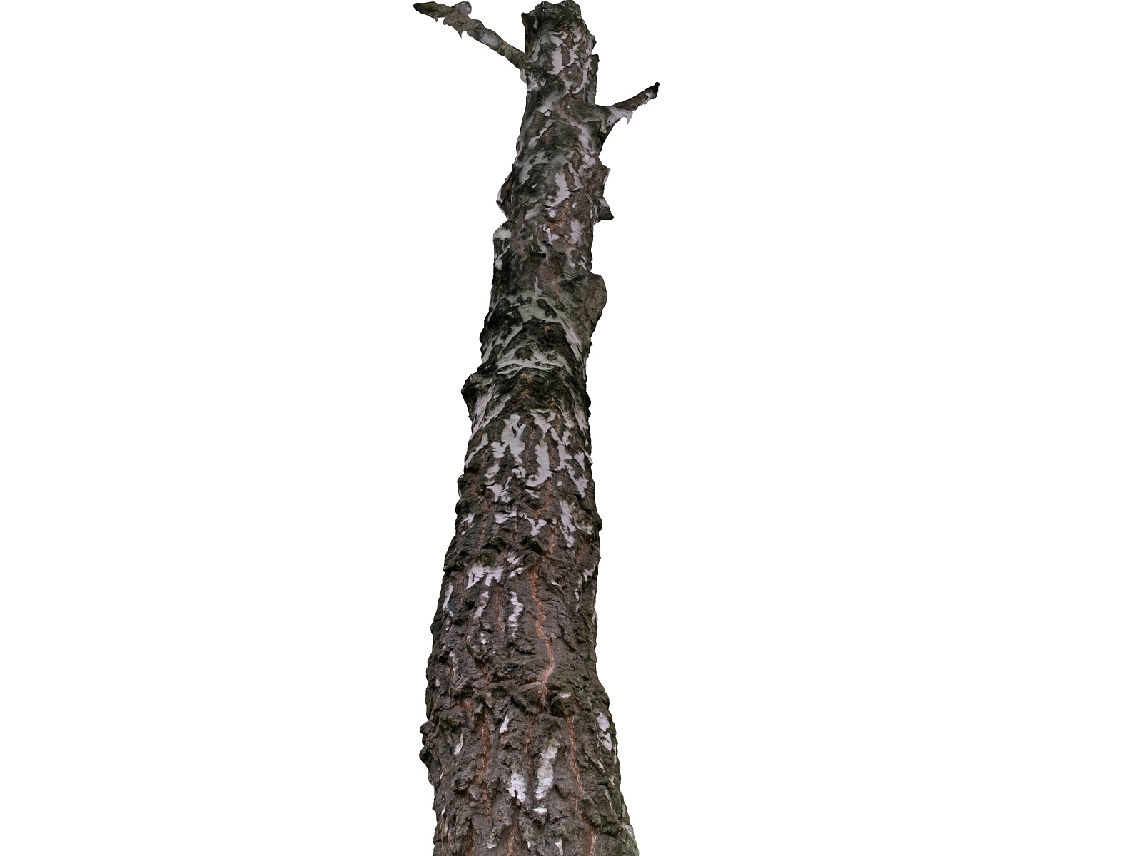max scanned