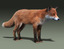 red fox fur 3d model