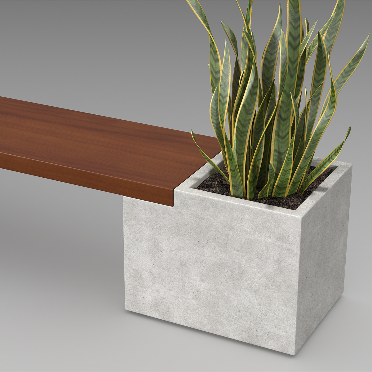 3d bench wood plant model