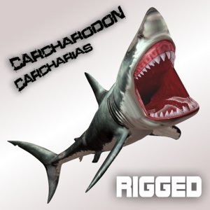 3d model of carcharodon carcharias shark megalodon