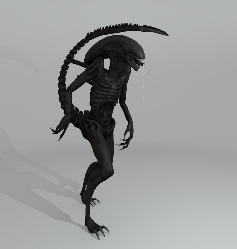 Alien Xenomorph 3d Model