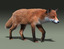 red fox fur rigged max