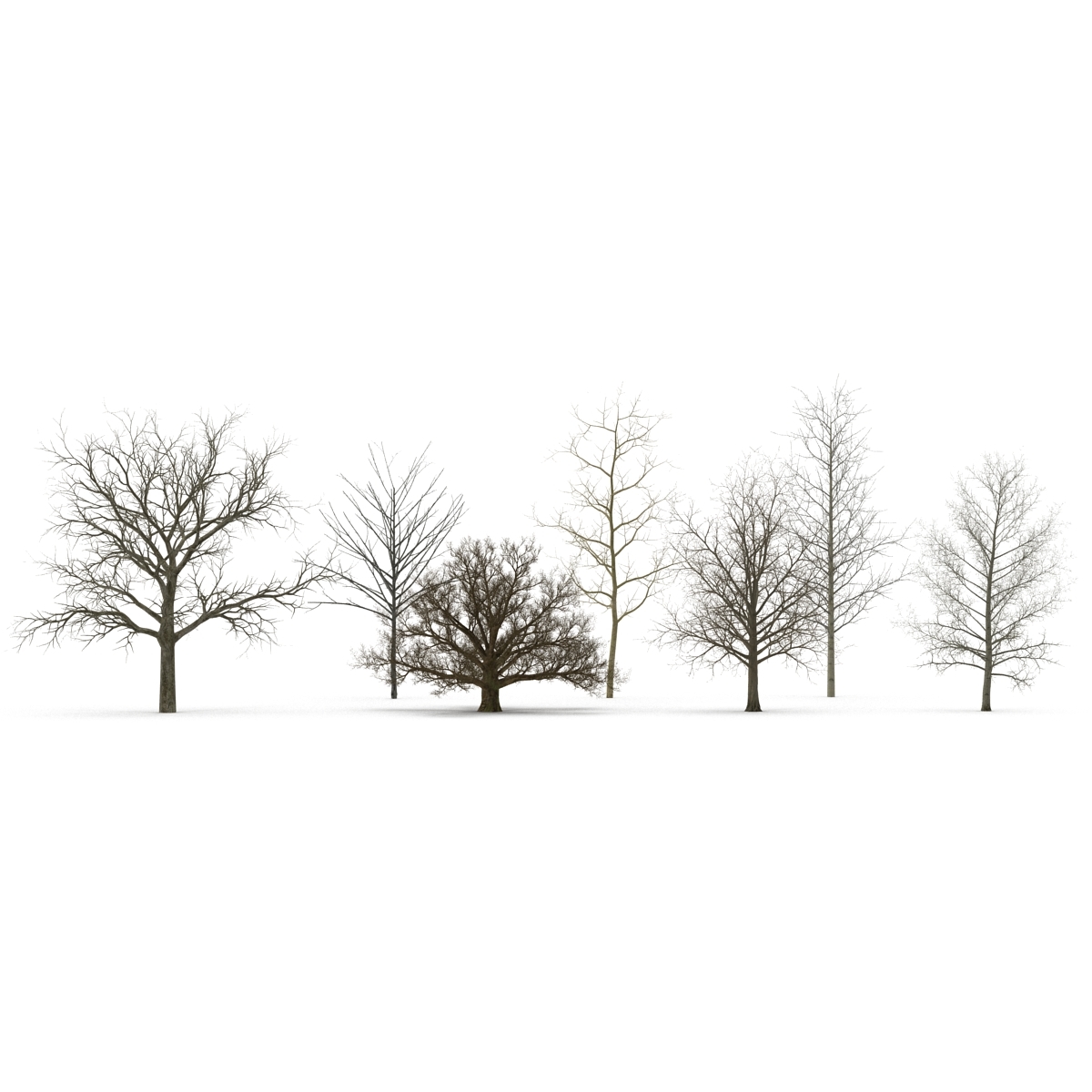 3ds max winter trees