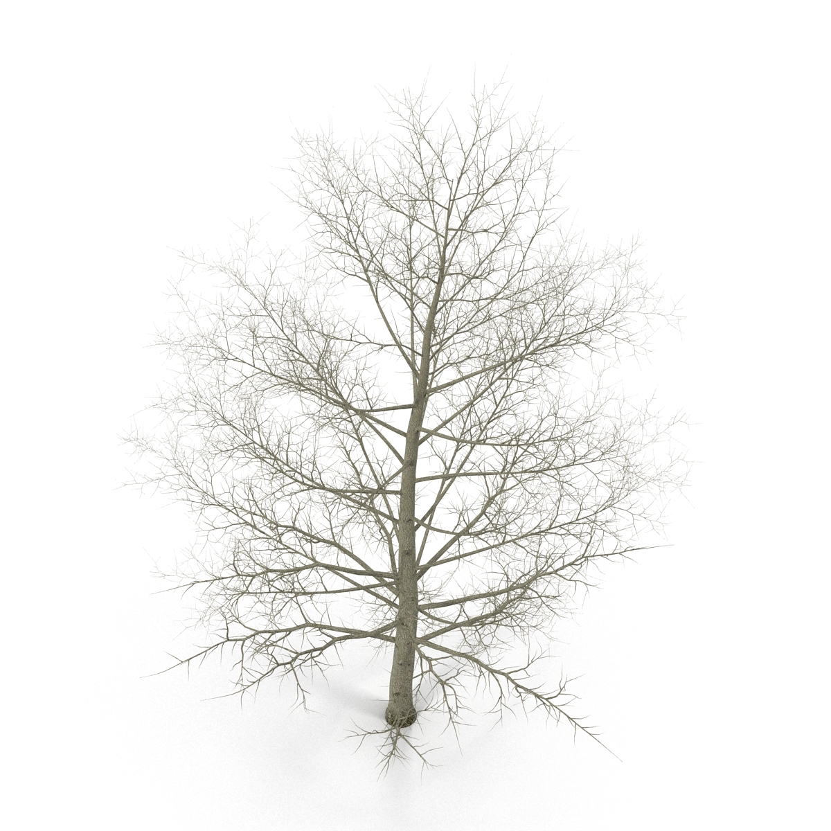 3ds max winter trees