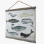 3d model scientific whale tapestry