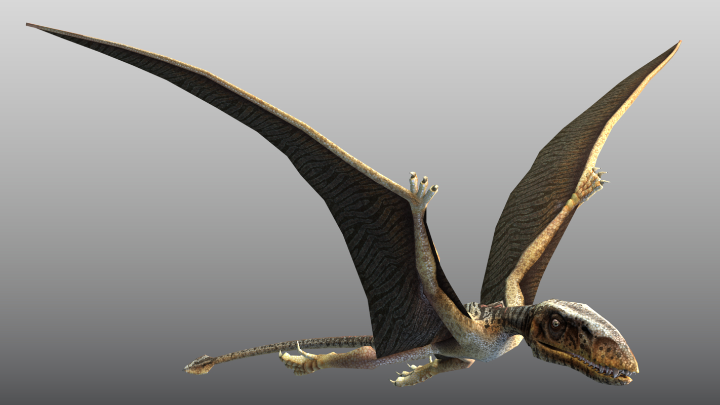 3d dimorphodon games model