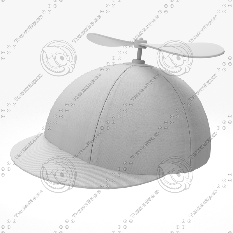 3d Propeller Hat Model