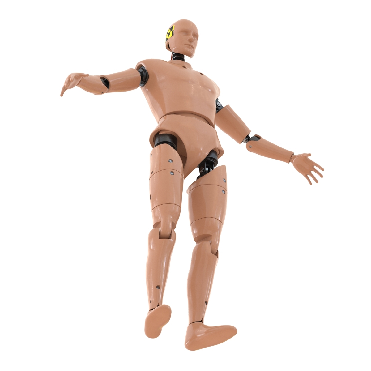 Average Crash Test Dummy Size