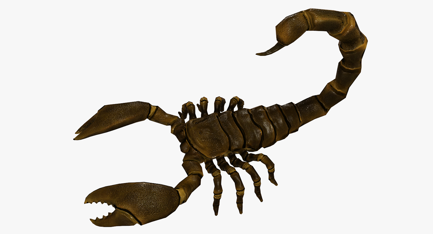 3d model of low-poly scorpio