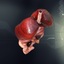 3d model human female internal organs