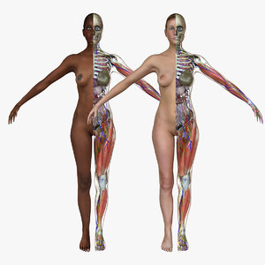 ma ultimate complete female anatomy